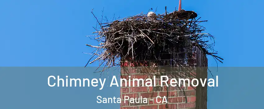  Chimney Animal Removal Santa Paula - CA