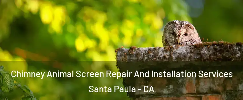  Chimney Animal Screen Repair And Installation Services Santa Paula - CA