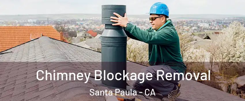  Chimney Blockage Removal Santa Paula - CA