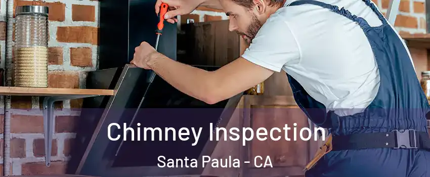  Chimney Inspection Santa Paula - CA