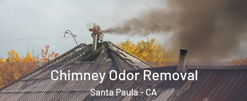  Chimney Odor Removal Santa Paula - CA