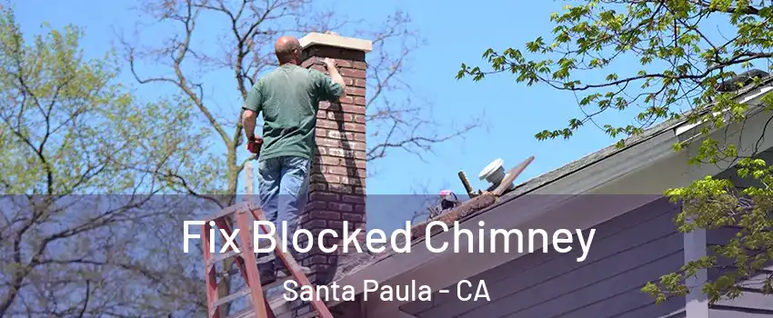  Fix Blocked Chimney Santa Paula - CA