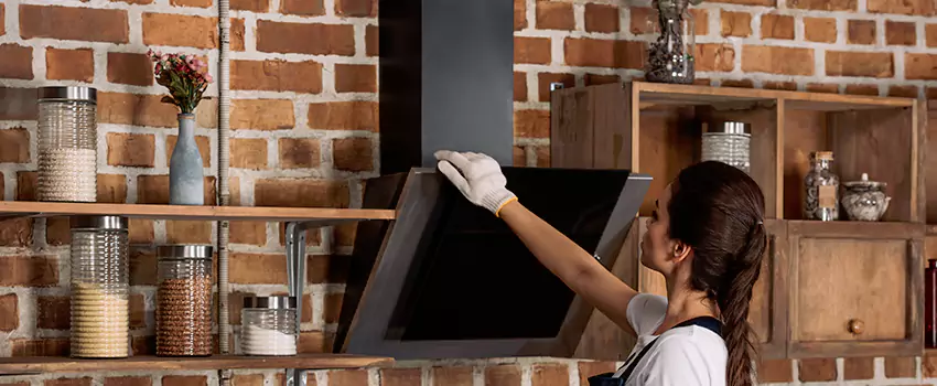 Chimney Installation in Santa Paula, CA