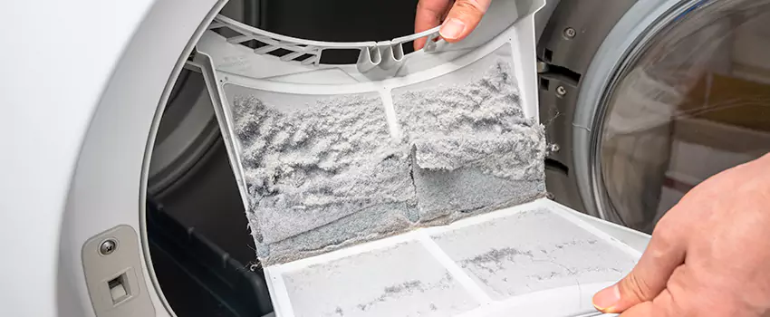 Best Dryer Lint Removal Company in Santa Paula, California