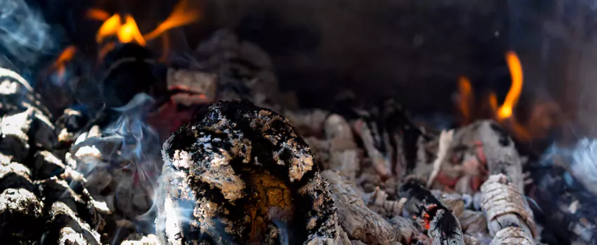 Creosote Removal Experts in Santa Paula, CA