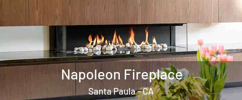  Napoleon Fireplace Santa Paula - CA